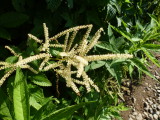 img0166.jpg