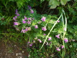 img0167.jpg