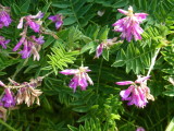 img0168.jpg