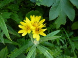 img0170.jpg