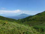 img0175.jpg