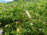 img0176.jpg