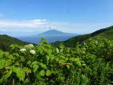 img0178.jpg