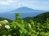 img0179.jpg