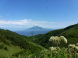 img0180.jpg