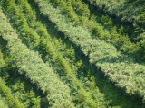 img0184.jpg