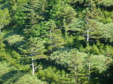 img0185.jpg