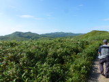 img0187.jpg