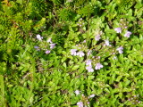 img0191.jpg
