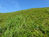 img0192.jpg