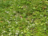 img0193.jpg
