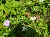 img0194.jpg