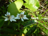 img0195.jpg