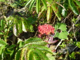 img0199.jpg