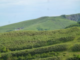 img0206.jpg