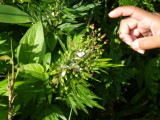 img0213.jpg