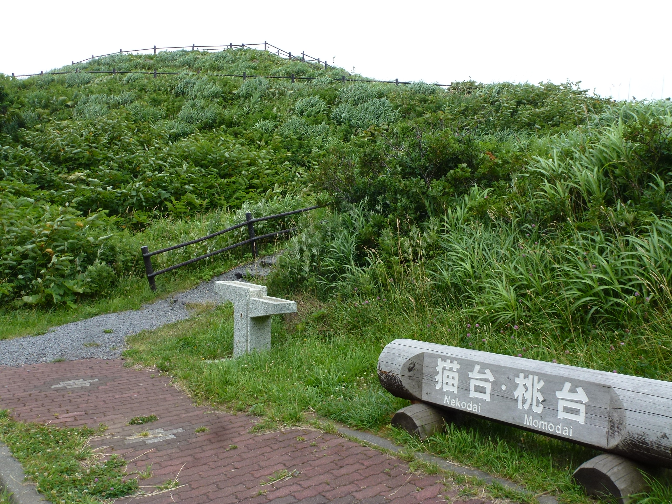 P1120210.JPG