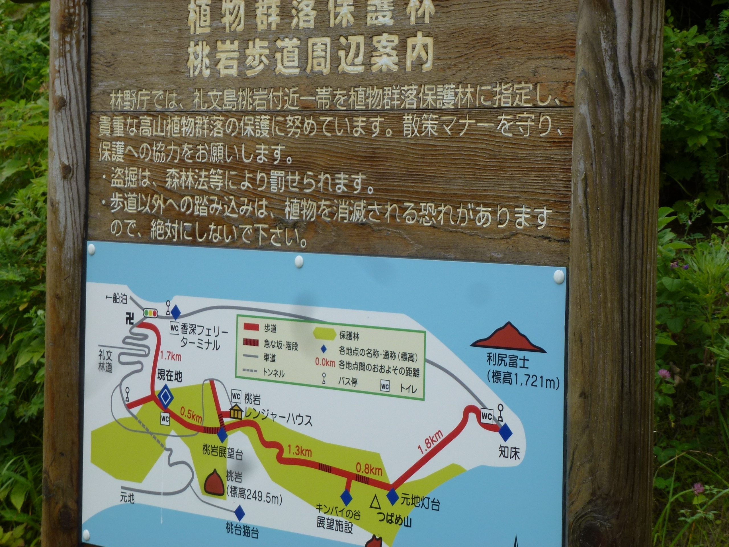 P1120213.JPG