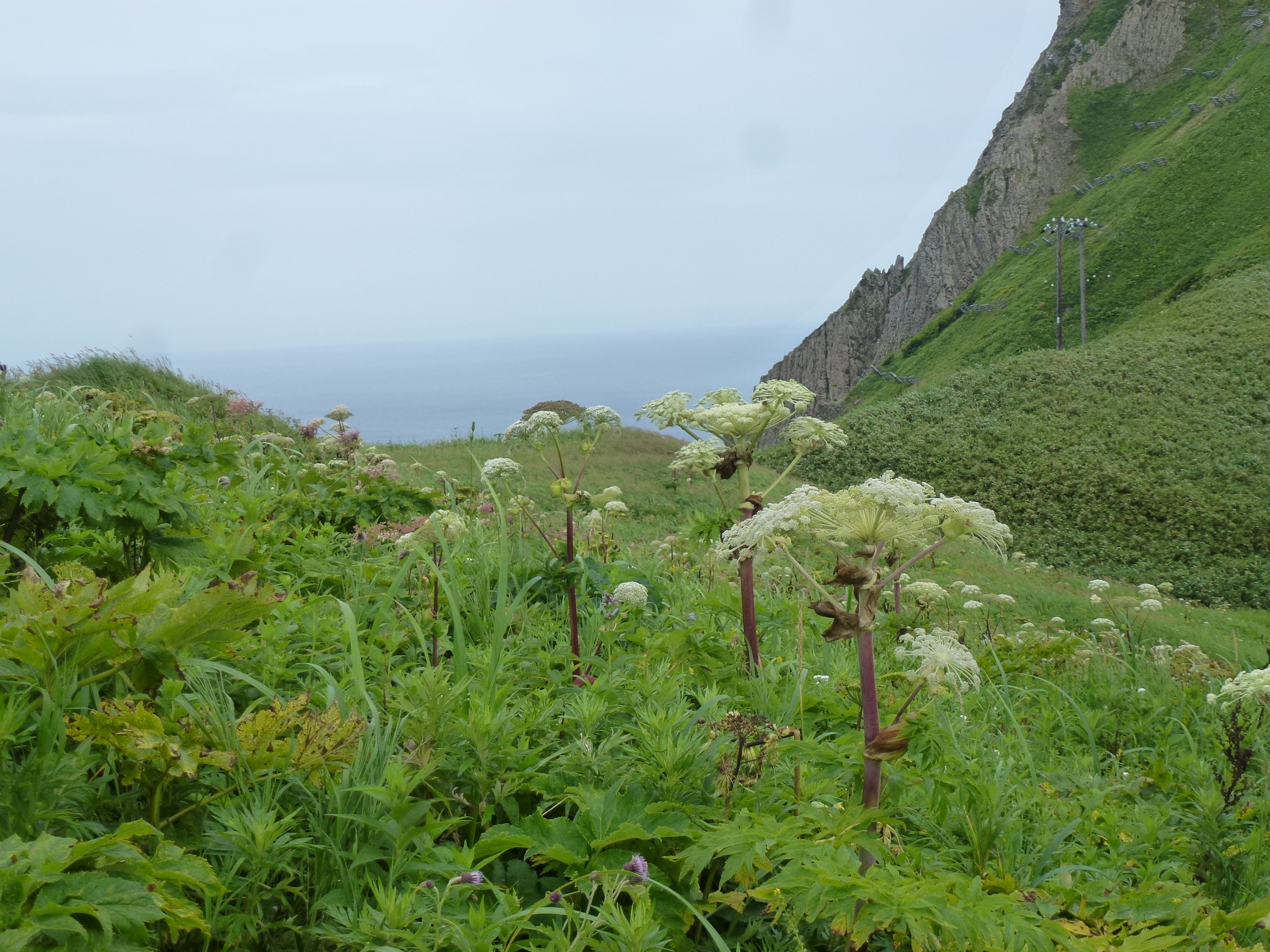 P1120221.JPG