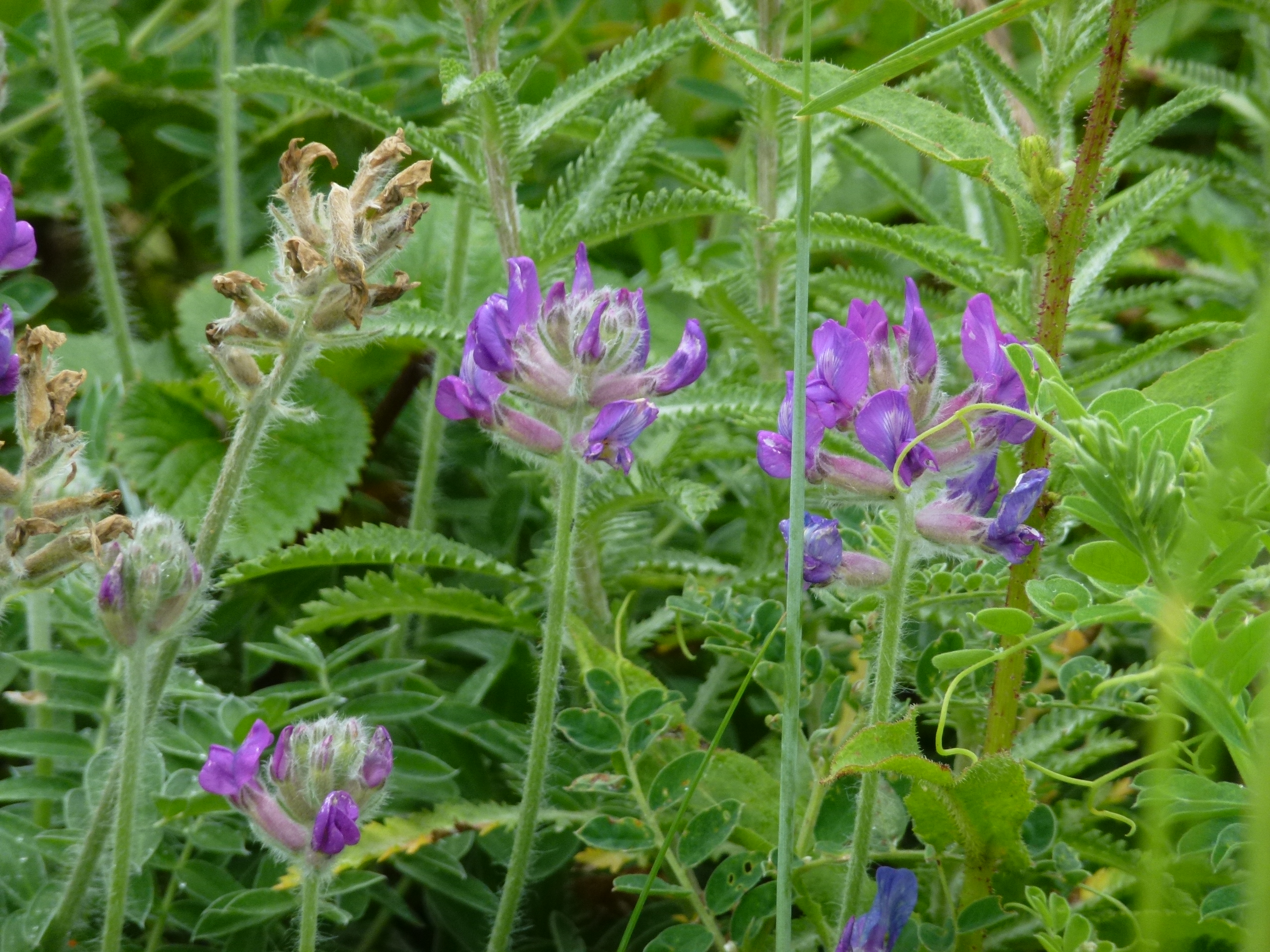 P1120241.JPG