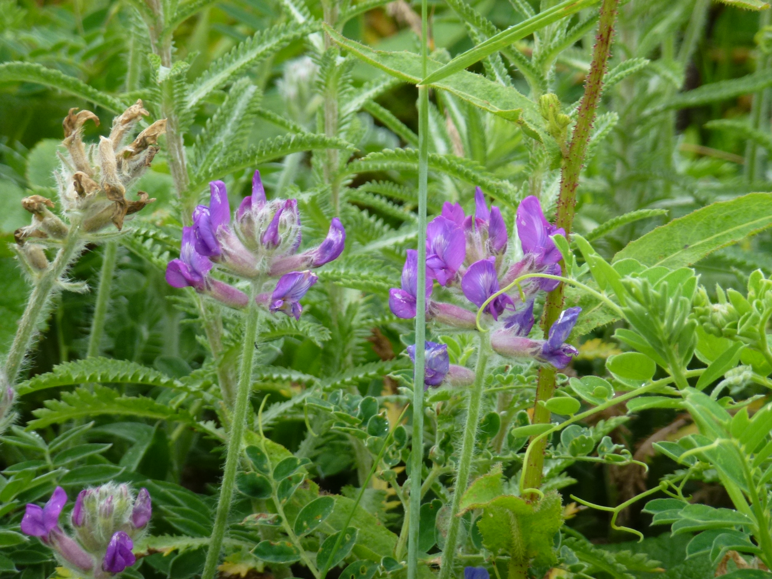 P1120242.JPG