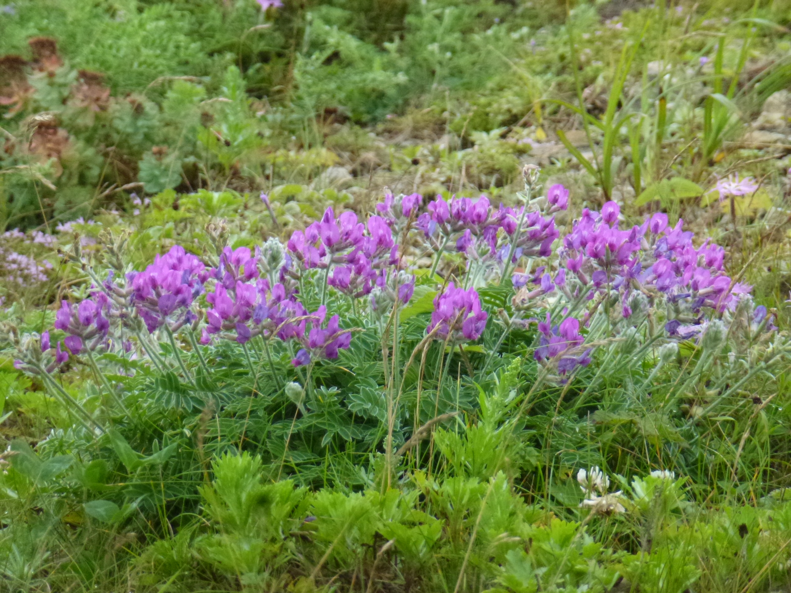 P1120243.JPG
