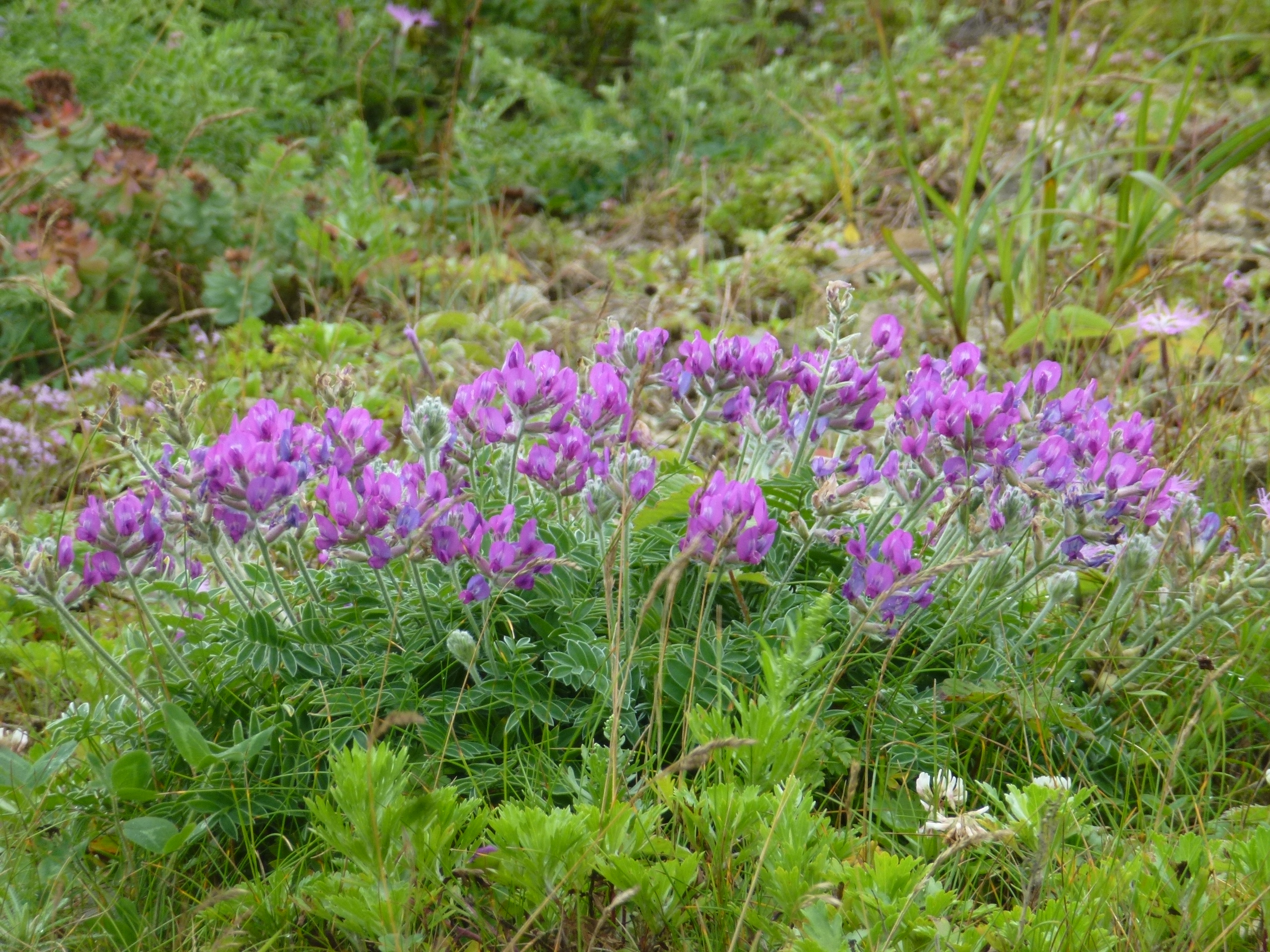 P1120244.JPG