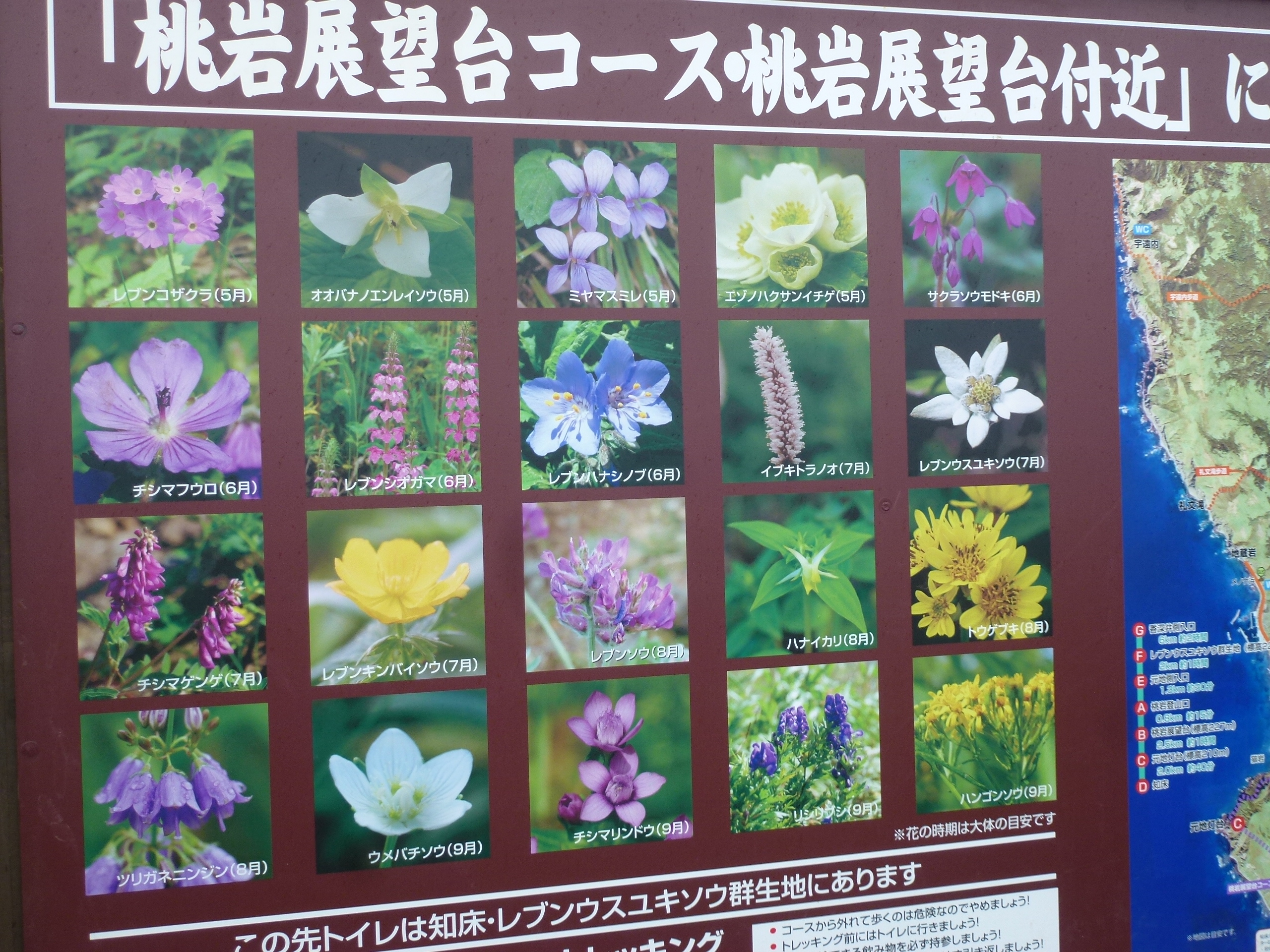P1120255.JPG