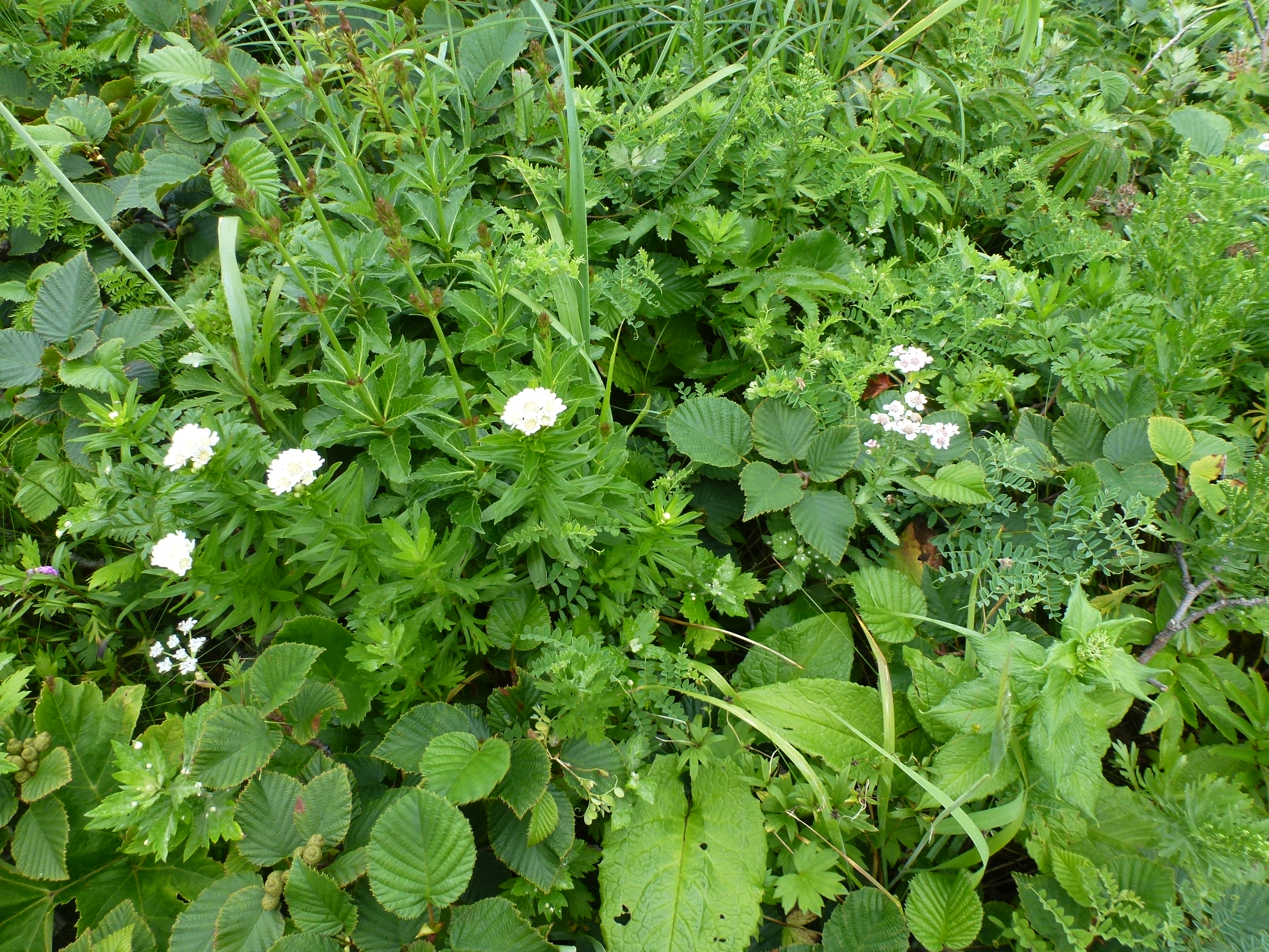 P1120280.JPG