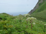 img0029.jpg