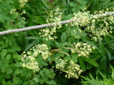 img0031.jpg