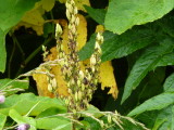 img0034.jpg