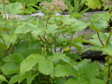 img0040.jpg