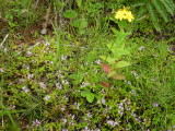 img0045.jpg