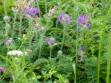 img0047.jpg