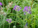 img0048.jpg