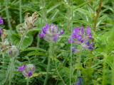 img0049.jpg