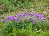 img0052.jpg