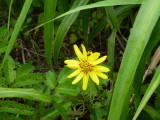 img0054.jpg