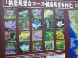 img0056.jpg