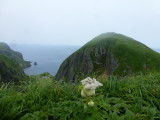 img0061.jpg