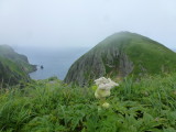 img0064.jpg