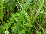 img0066.jpg