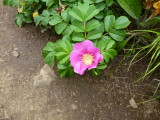 img0071.jpg