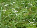 img0072.jpg