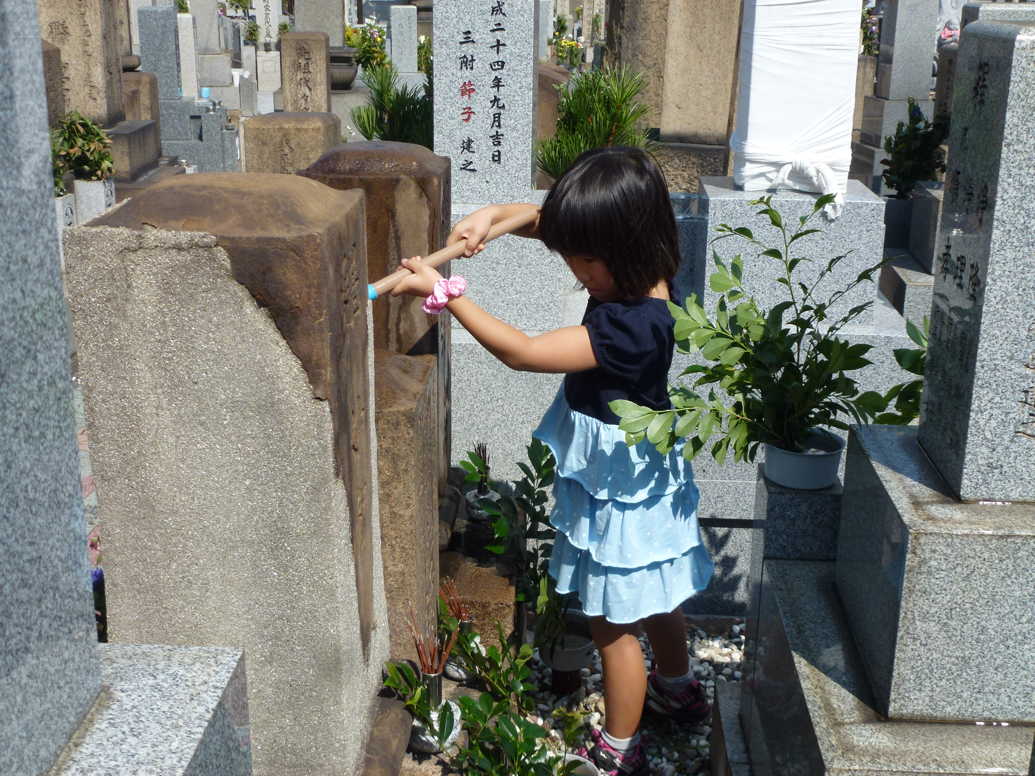 P1120375.JPG