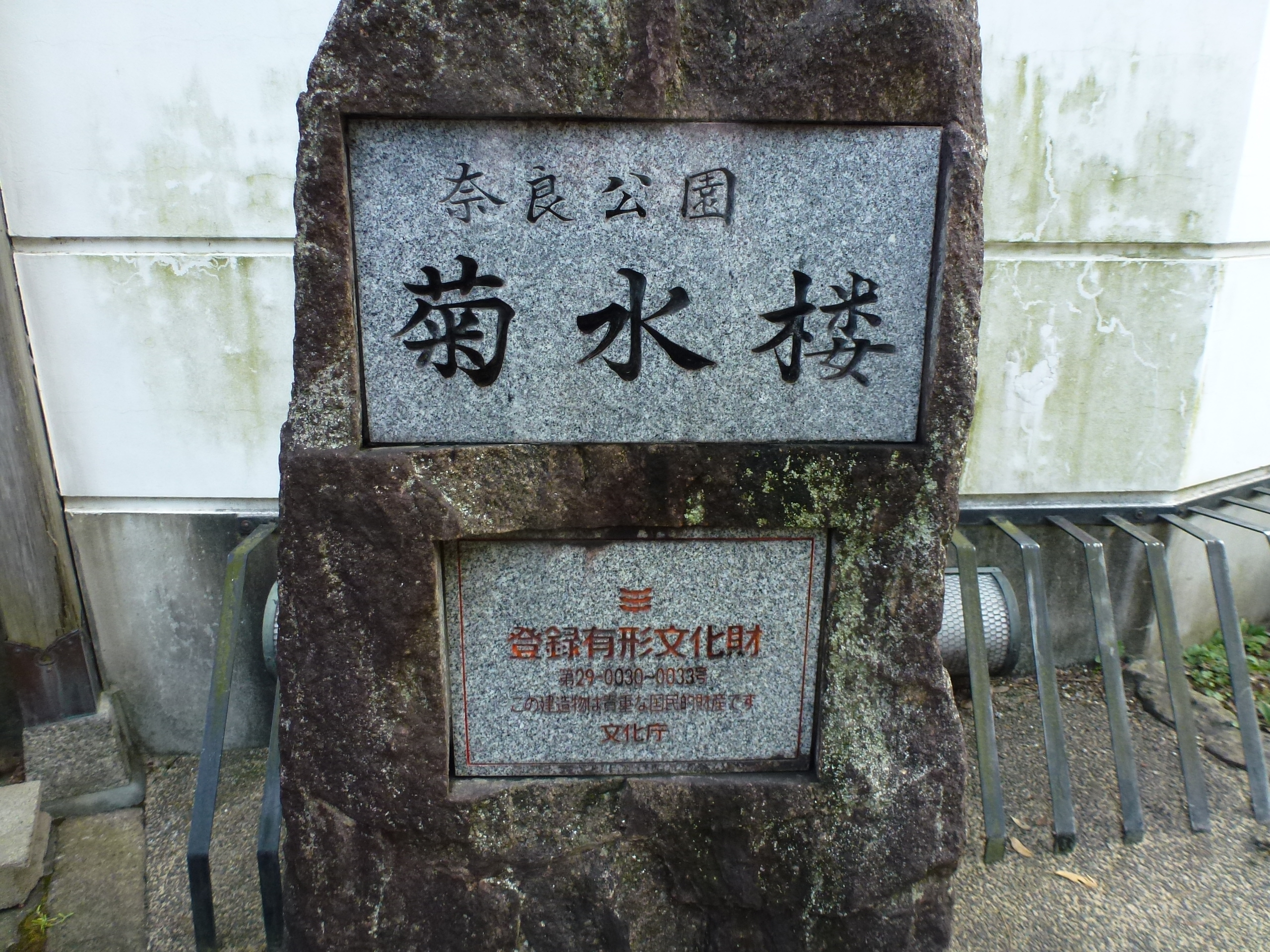P1120390.JPG