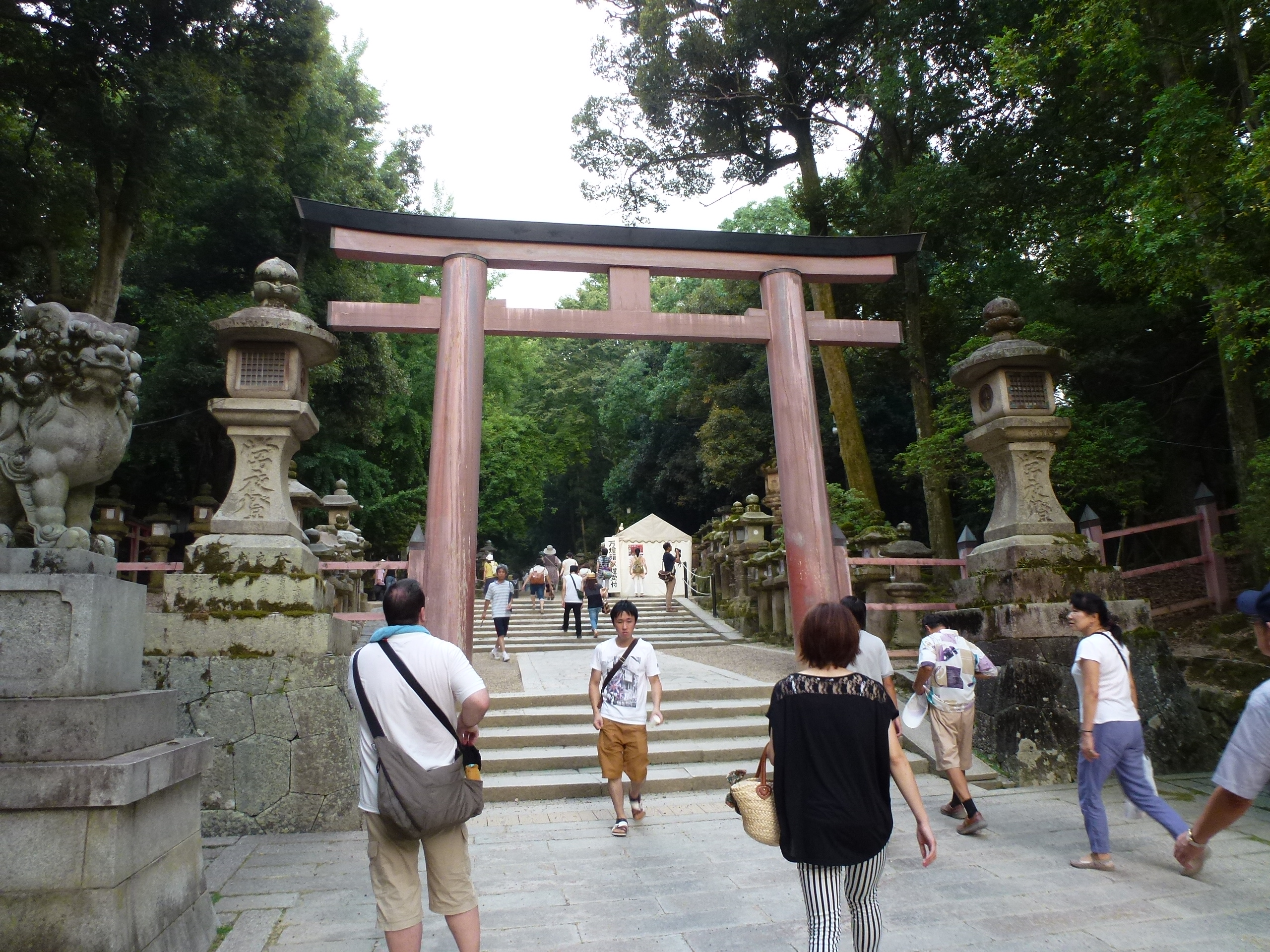 P1120426.JPG