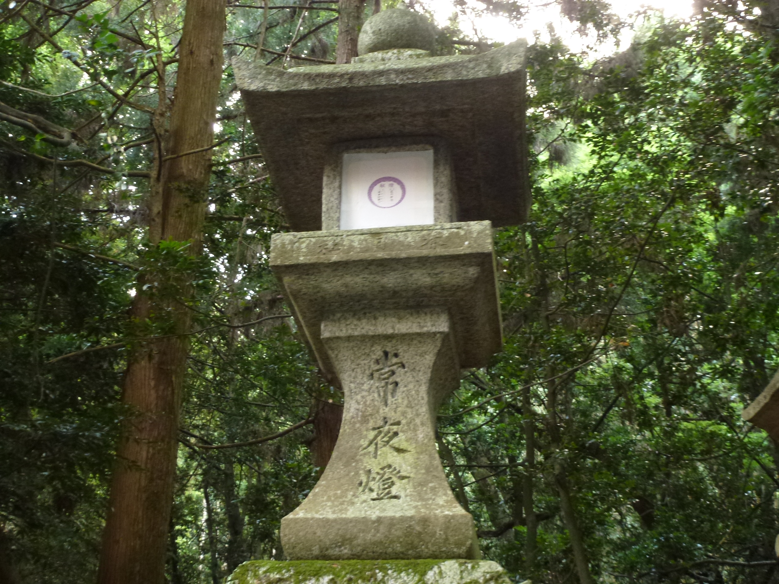 P1120431.JPG