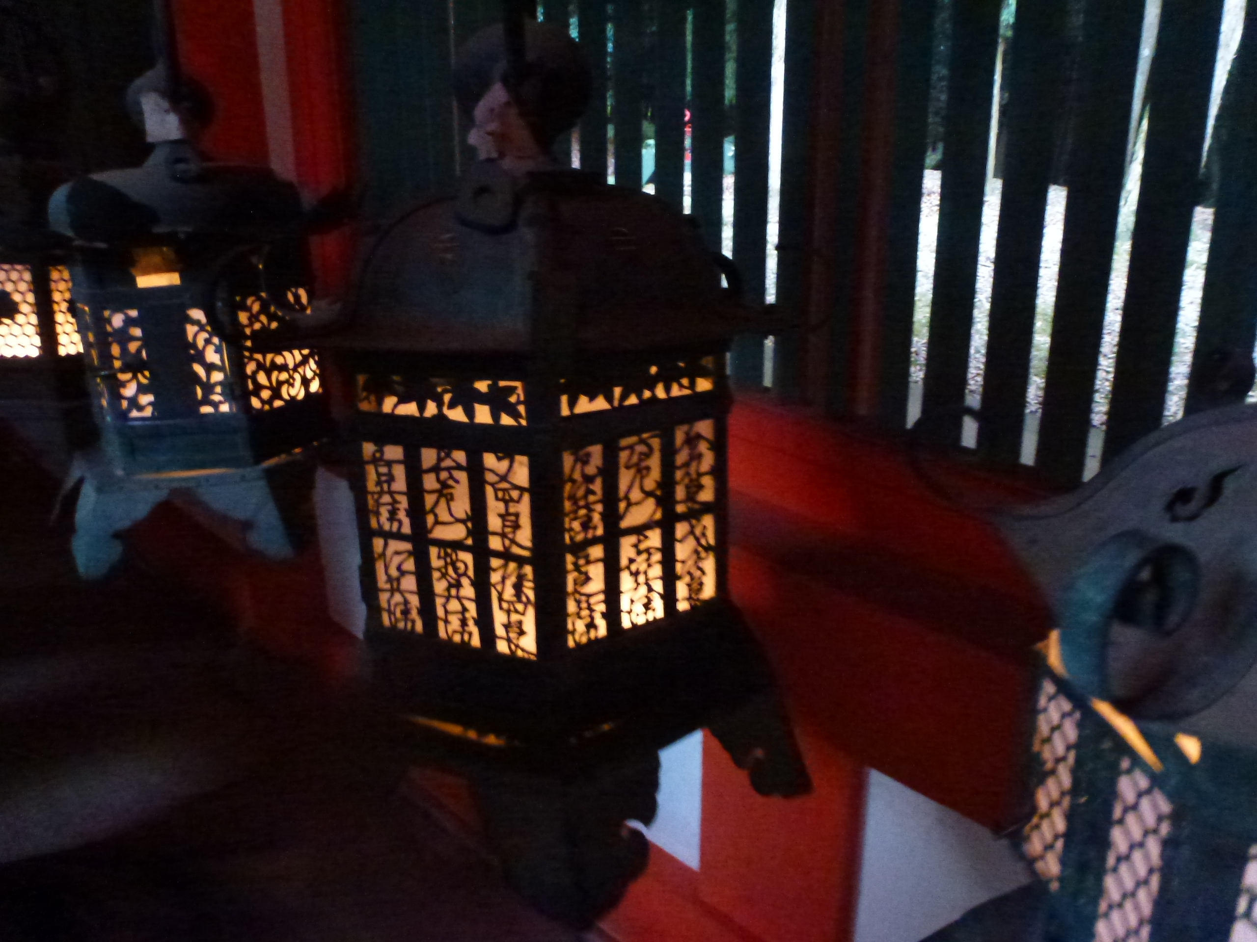 P1120436.JPG